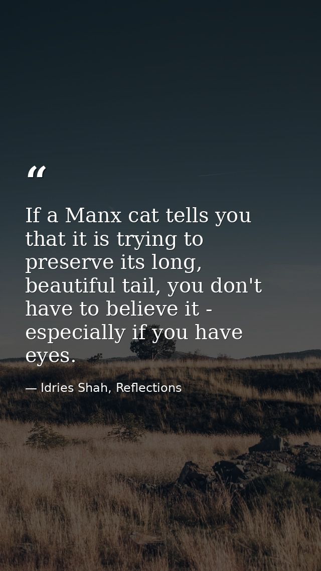 If a Manx cat tells you that it is trying to preserve its long, beautiful tail, you don't have to believe it - especiall — Idries Shah, Reflections
