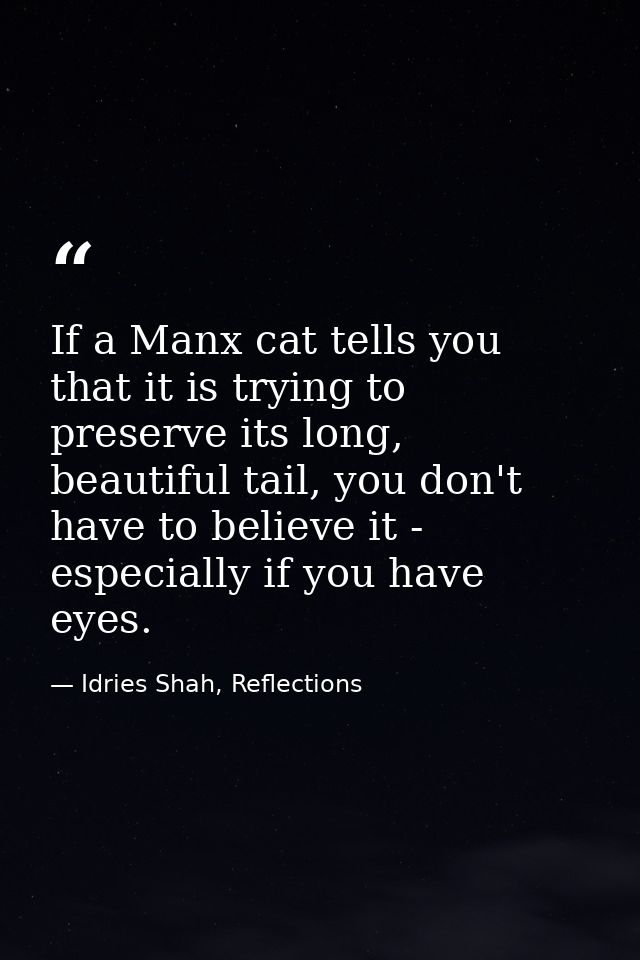 If a Manx cat tells you that it is trying to preserve its long, beautiful tail, you don't have to believe it - especiall — Idries Shah, Reflections