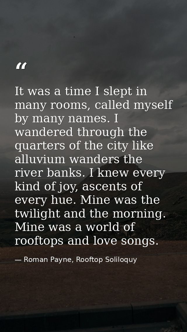 It was a time I slept in many rooms, called myself by many names. I wandered through the quarters of the city like alluv — Roman Payne, Rooftop Soliloquy