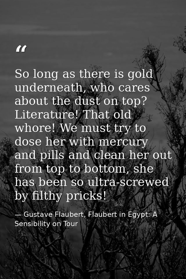 So long as there is gold underneath, who cares about the dust on top? Literature! That old whore! We must try to dose he — Gustave Flaubert, Flaubert in Egypt: A Sensibility on Tour