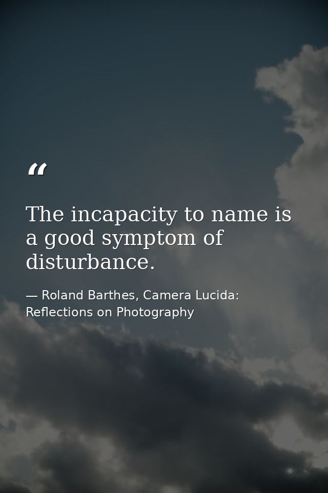 The incapacity to name is a good symptom of disturbance. — Roland Barthes, Camera Lucida: Reflections on Photography