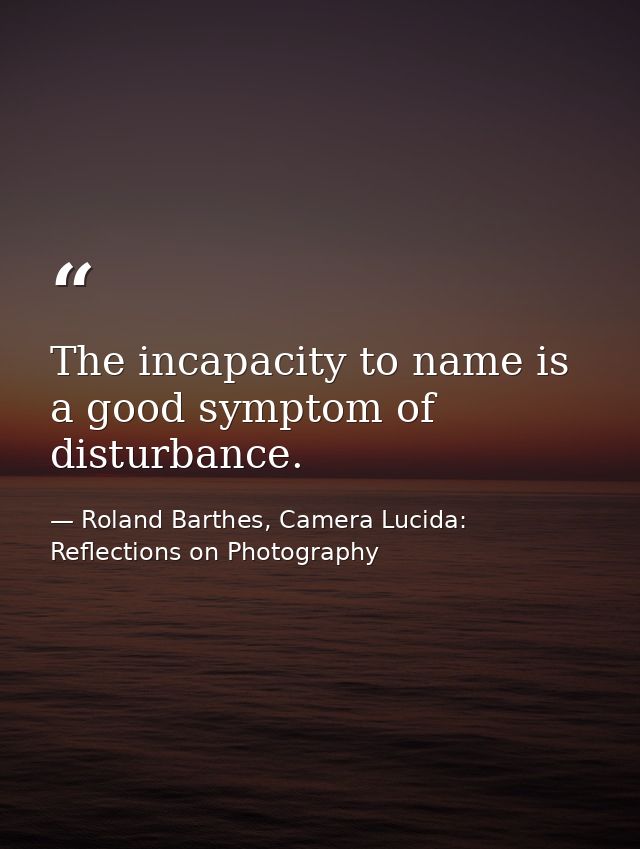 The incapacity to name is a good symptom of disturbance. — Roland Barthes, Camera Lucida: Reflections on Photography