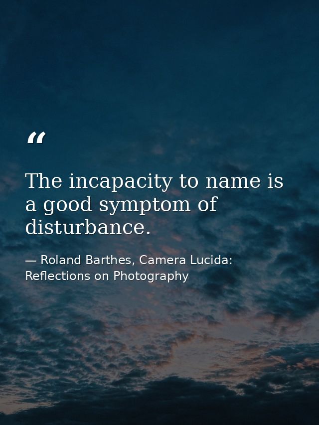 The incapacity to name is a good symptom of disturbance. — Roland Barthes, Camera Lucida: Reflections on Photography