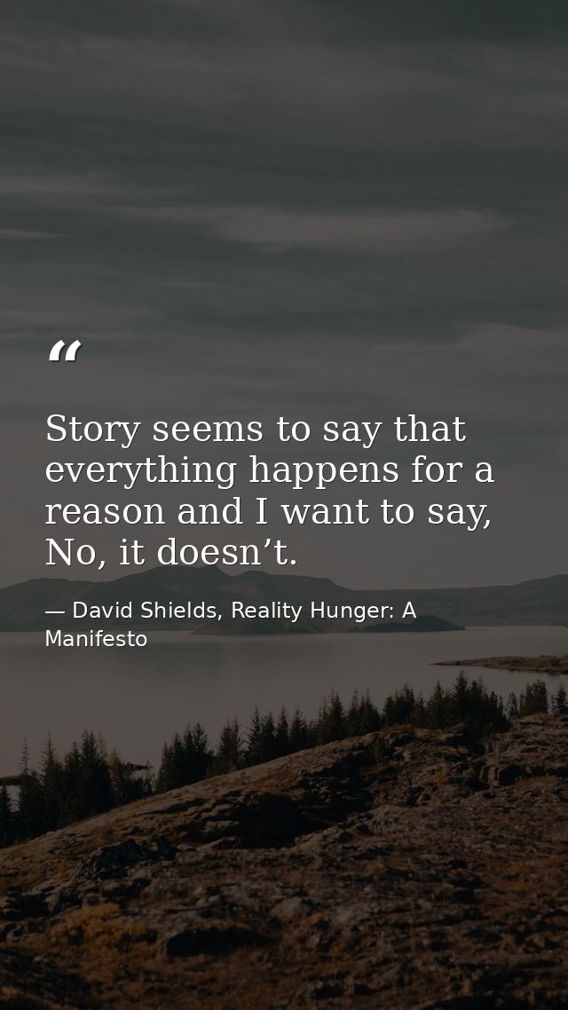 Story seems to say that everything happens for a reason and I want to say, No, it doesn’t. — David Shields, Reality Hunger: A Manifesto