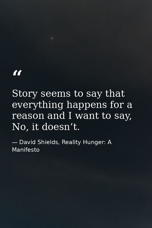 Story seems to say that everything happens for a reason and I want to say, No, it doesn’t. — David Shields, Reality Hunger: A Manifesto