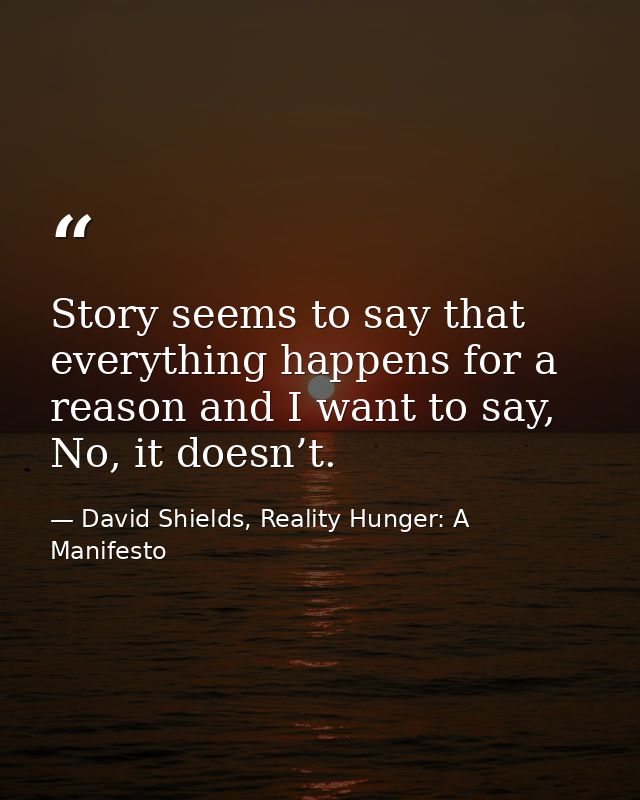 Story seems to say that everything happens for a reason and I want to say, No, it doesn’t. — David Shields, Reality Hunger: A Manifesto