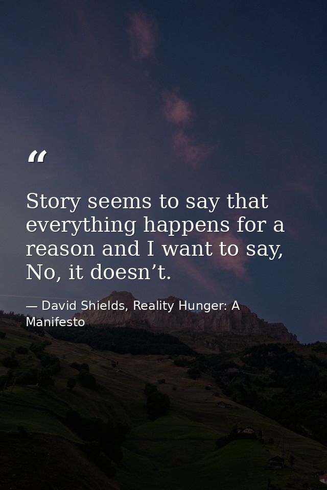 Story seems to say that everything happens for a reason and I want to say, No, it doesn’t. — David Shields, Reality Hunger: A Manifesto