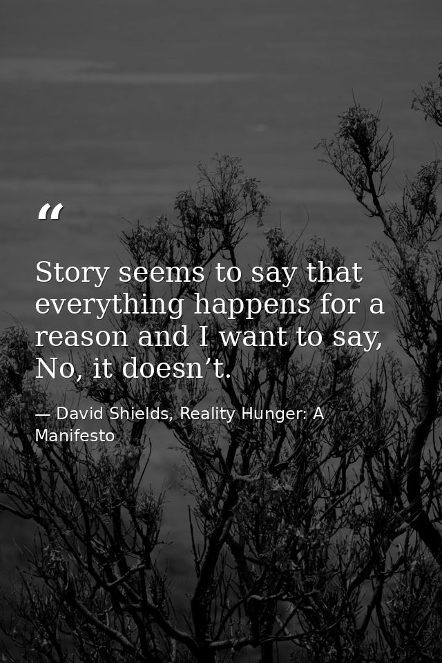 Story seems to say that everything happens for a reason and I want to say, No, it doesn’t. — David Shields, Reality Hunger: A Manifesto
