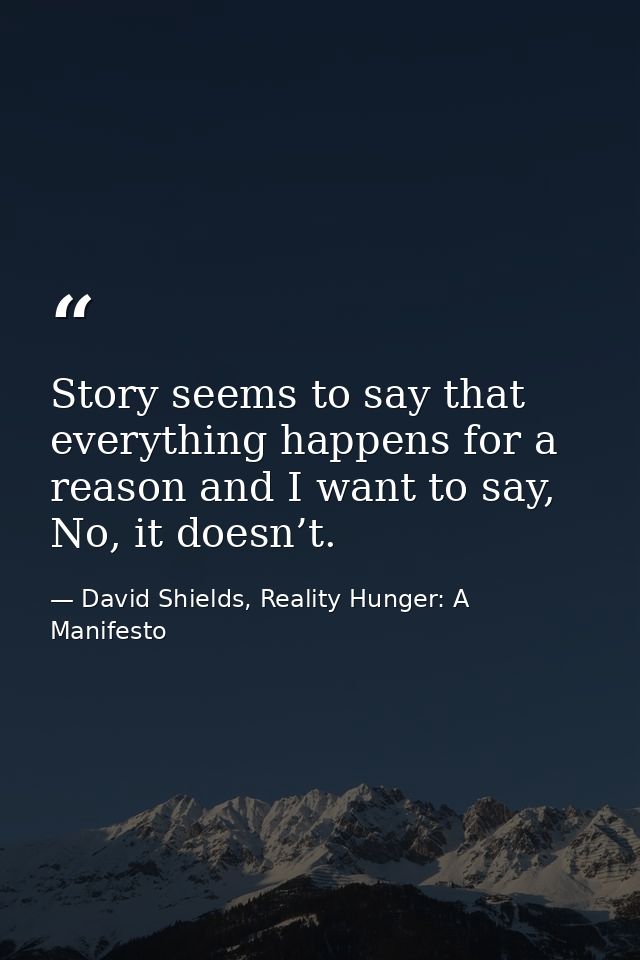 Story seems to say that everything happens for a reason and I want to say, No, it doesn’t. — David Shields, Reality Hunger: A Manifesto