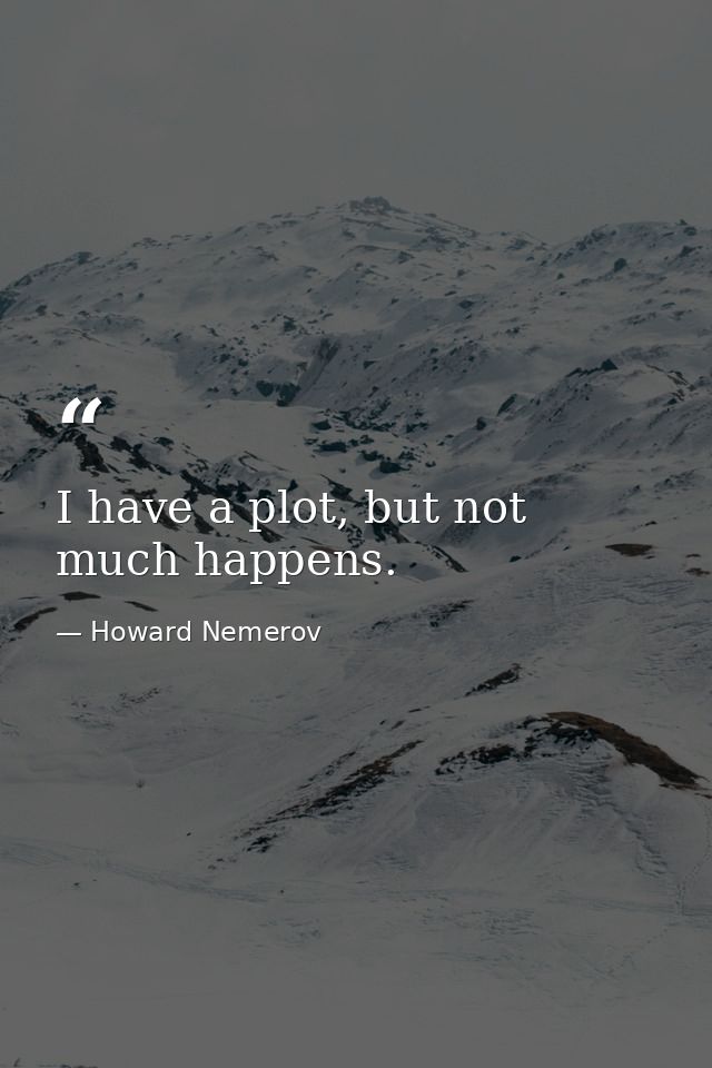I have a plot, but not much happens. — Howard Nemerov