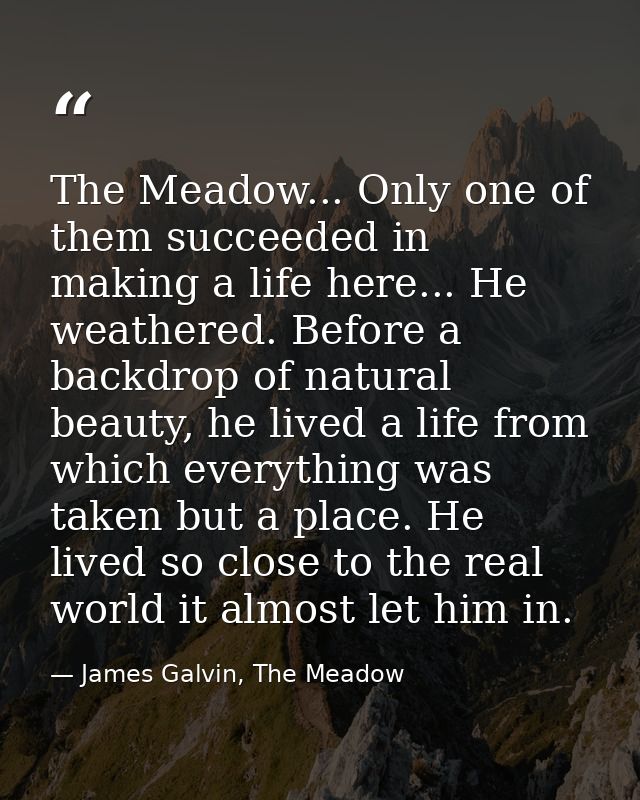 The Meadow... Only one of them succeeded in making a life here... He weathered. Before a backdrop of natural beauty, he  — James Galvin, The Meadow