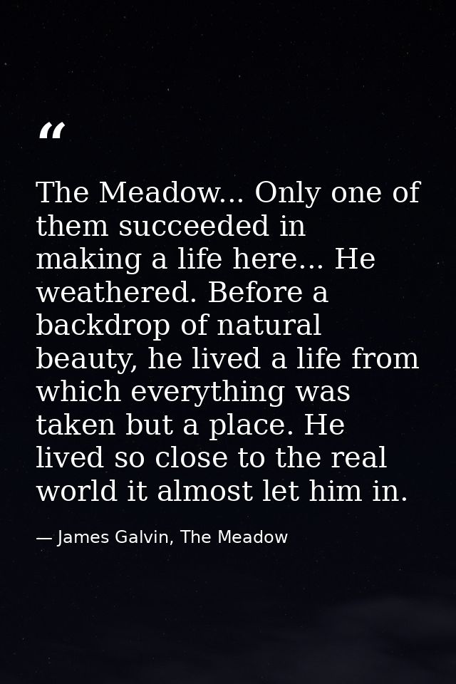 The Meadow... Only one of them succeeded in making a life here... He weathered. Before a backdrop of natural beauty, he  — James Galvin, The Meadow
