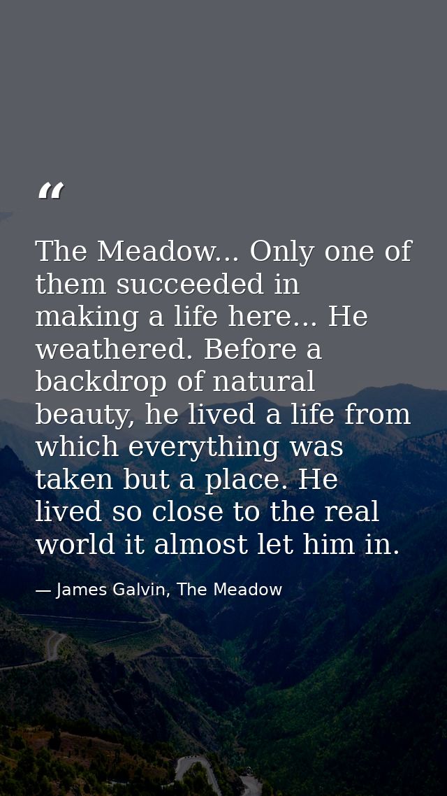 The Meadow... Only one of them succeeded in making a life here... He weathered. Before a backdrop of natural beauty, he  — James Galvin, The Meadow