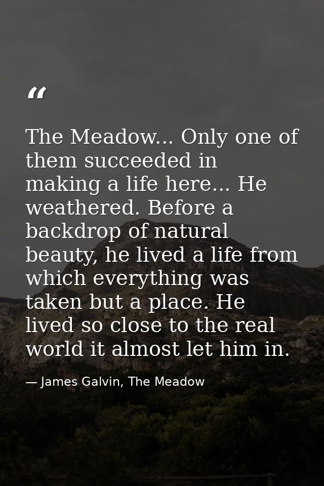 The Meadow... Only one of them succeeded in making a life here... He weathered. Before a backdrop of natural beauty, he  — James Galvin, The Meadow