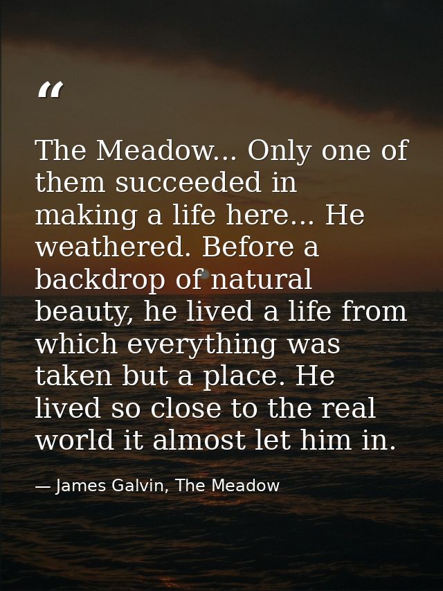 The Meadow... Only one of them succeeded in making a life here... He weathered. Before a backdrop of natural beauty, he  — James Galvin, The Meadow