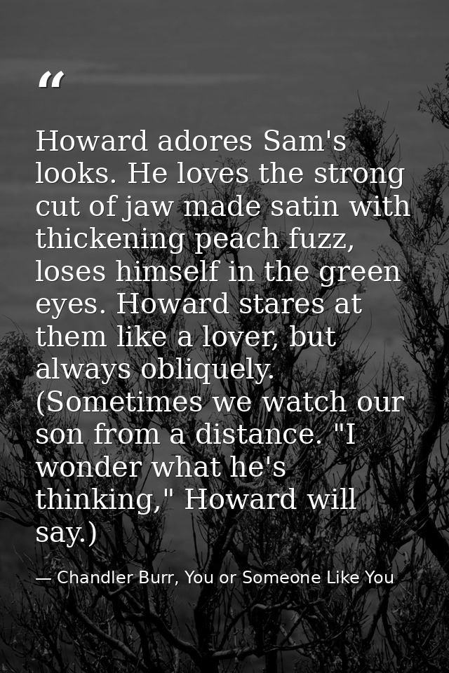 Howard adores Sam's looks. He loves the strong cut of jaw made satin with thickening peach fuzz, loses himself in the gr — Chandler Burr, You or Someone Like You