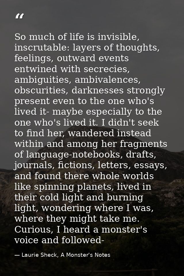 So much of life is invisible, inscrutable: layers of thoughts, feelings, outward events entwined with secrecies, ambigui — Laurie Sheck, A Monster's Notes