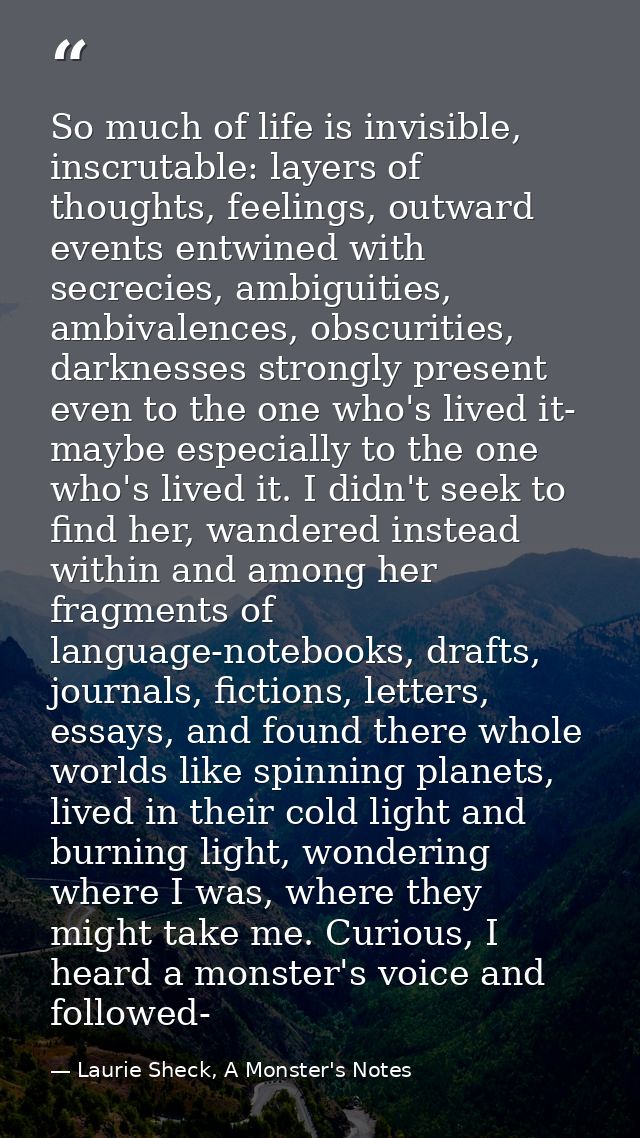 So much of life is invisible, inscrutable: layers of thoughts, feelings, outward events entwined with secrecies, ambigui — Laurie Sheck, A Monster's Notes