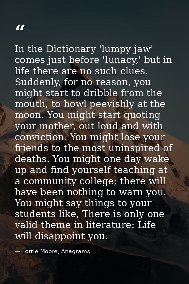 In the Dictionary 'lumpy jaw' comes just before 'lunacy,' but in life there are no such clues. Suddenly, for no reason,  — Lorrie Moore, Anagrams
