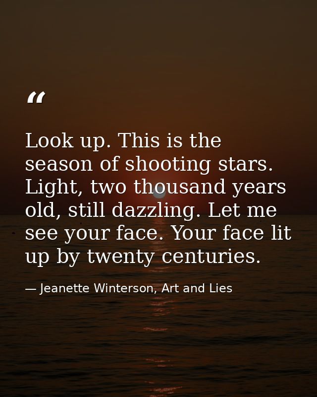 Look up. This is the season of shooting stars. Light, two thousand years old, still dazzling. Let me see your face. Your — Jeanette Winterson, Art and Lies