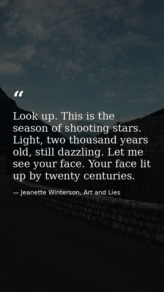 Look up. This is the season of shooting stars. Light, two thousand years old, still dazzling. Let me see your face. Your — Jeanette Winterson, Art and Lies