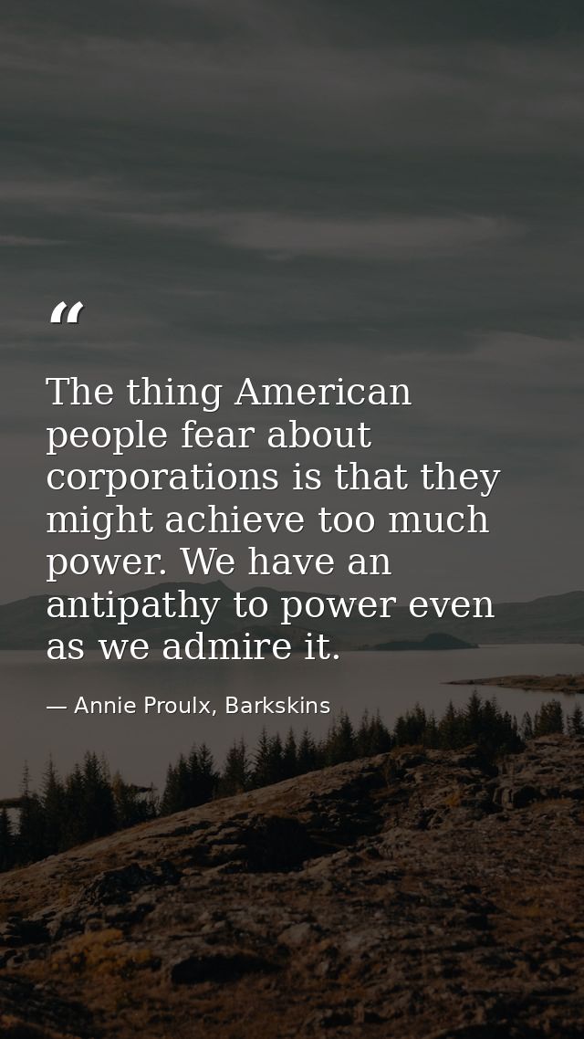 The thing American people fear about corporations is that they might achieve too much power. We have an antipathy to pow — Annie Proulx, Barkskins