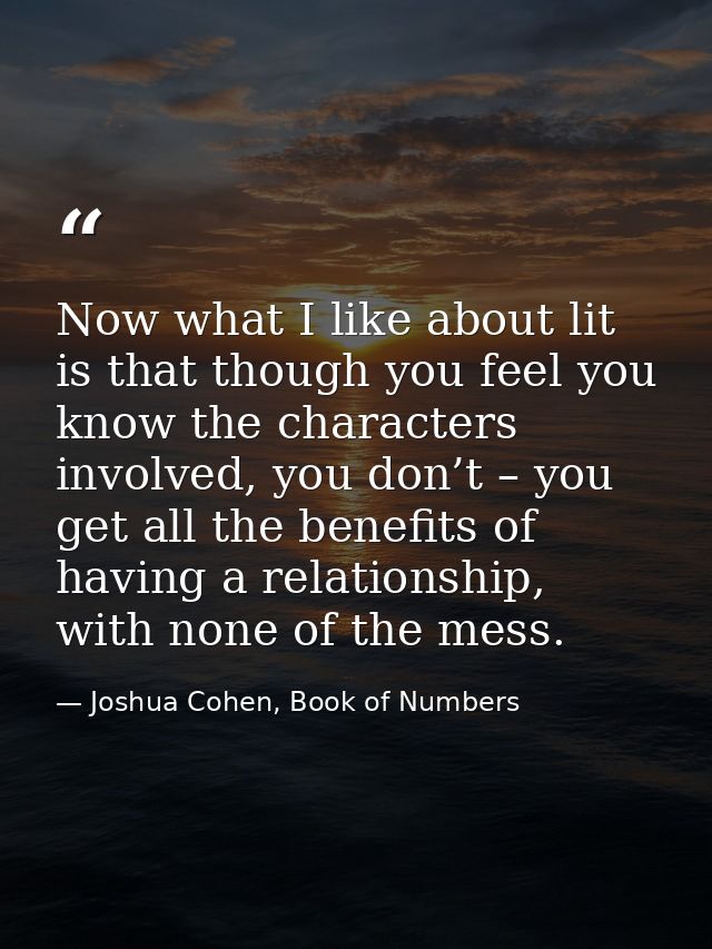 Now what I like about lit is that though you feel you know the characters involved, you don’t – you get all the benefits — Joshua Cohen, Book of Numbers