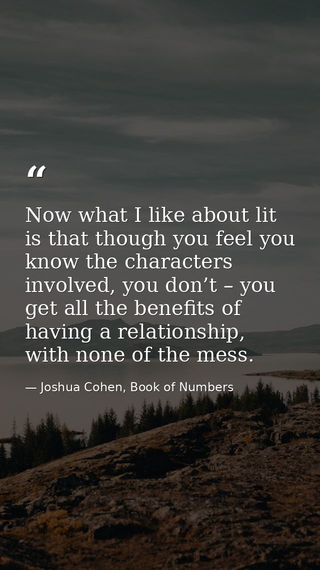 Now what I like about lit is that though you feel you know the characters involved, you don’t – you get all the benefits — Joshua Cohen, Book of Numbers