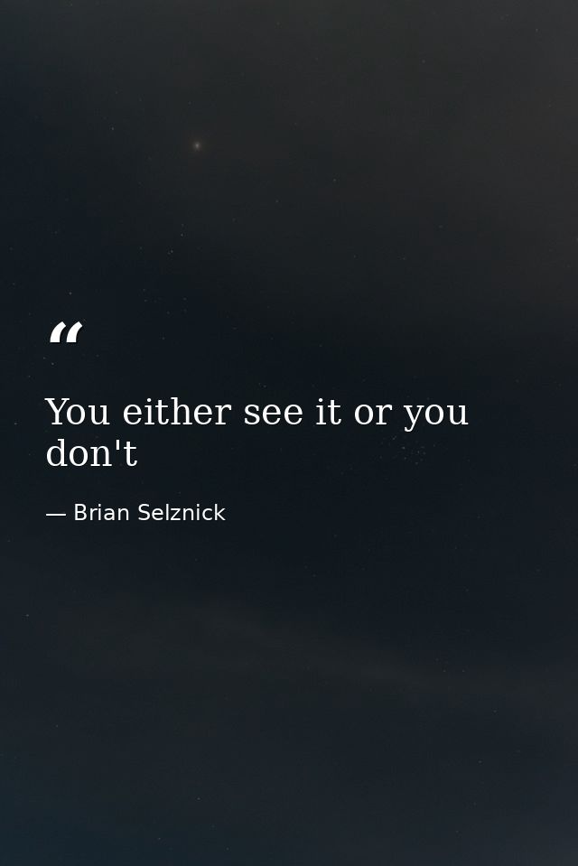 You either see it or you don't — Brian Selznick