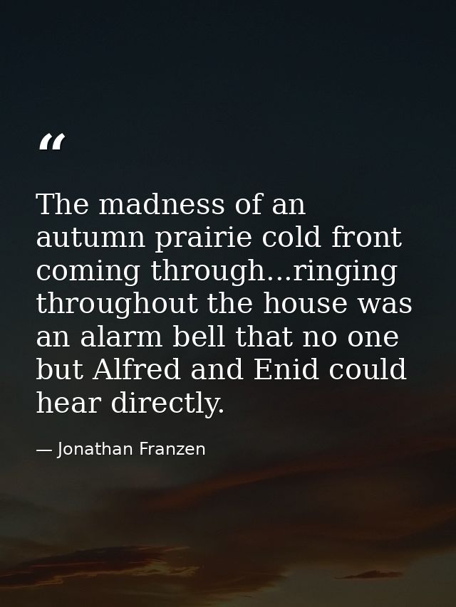 The madness of an autumn prairie cold front coming through...ringing throughout the house was an alarm bell that no one  — Jonathan Franzen