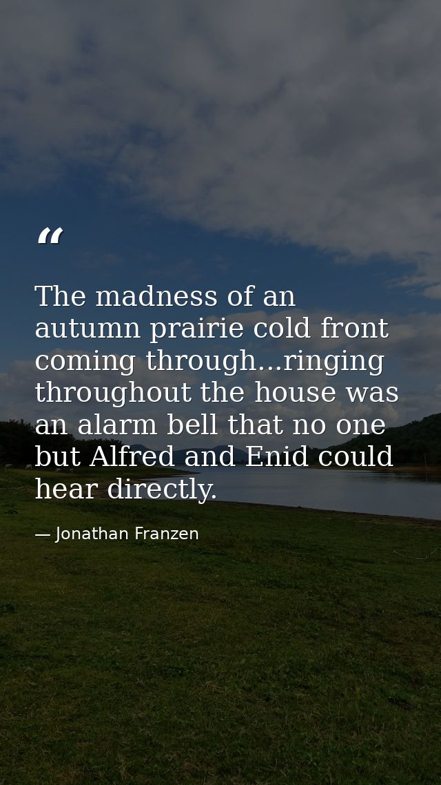 The madness of an autumn prairie cold front coming through...ringing throughout the house was an alarm bell that no one  — Jonathan Franzen