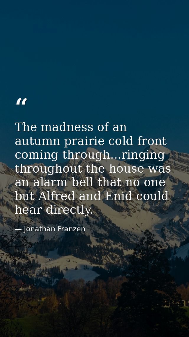 The madness of an autumn prairie cold front coming through...ringing throughout the house was an alarm bell that no one  — Jonathan Franzen