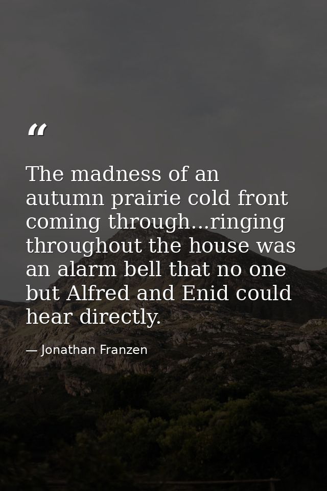 The madness of an autumn prairie cold front coming through...ringing throughout the house was an alarm bell that no one  — Jonathan Franzen