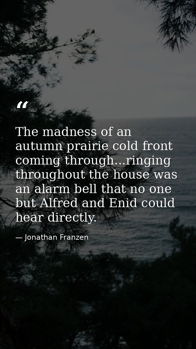 The madness of an autumn prairie cold front coming through...ringing throughout the house was an alarm bell that no one  — Jonathan Franzen