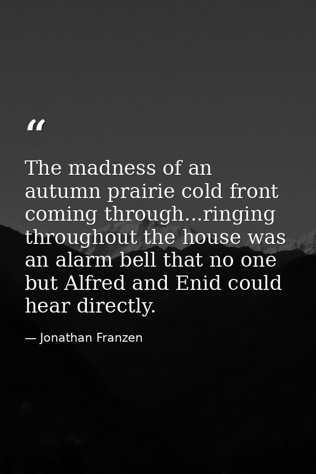 The madness of an autumn prairie cold front coming through...ringing throughout the house was an alarm bell that no one  — Jonathan Franzen