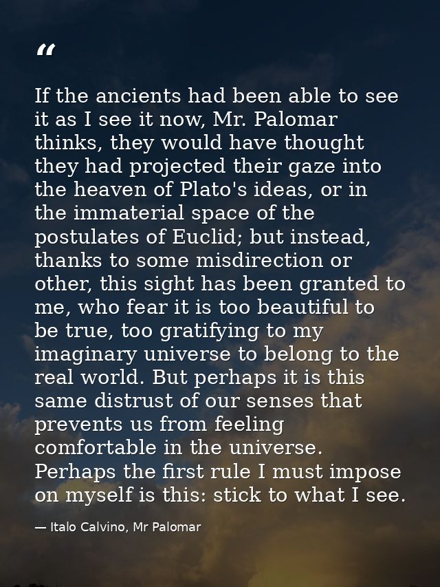 If the ancients had been able to see it as I see it now, Mr. Palomar thinks, they would have thought they had projected  — Italo Calvino, Mr Palomar
