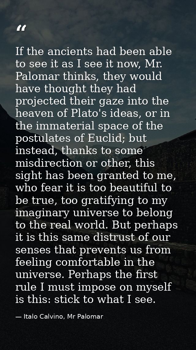 If the ancients had been able to see it as I see it now, Mr. Palomar thinks, they would have thought they had projected  — Italo Calvino, Mr Palomar