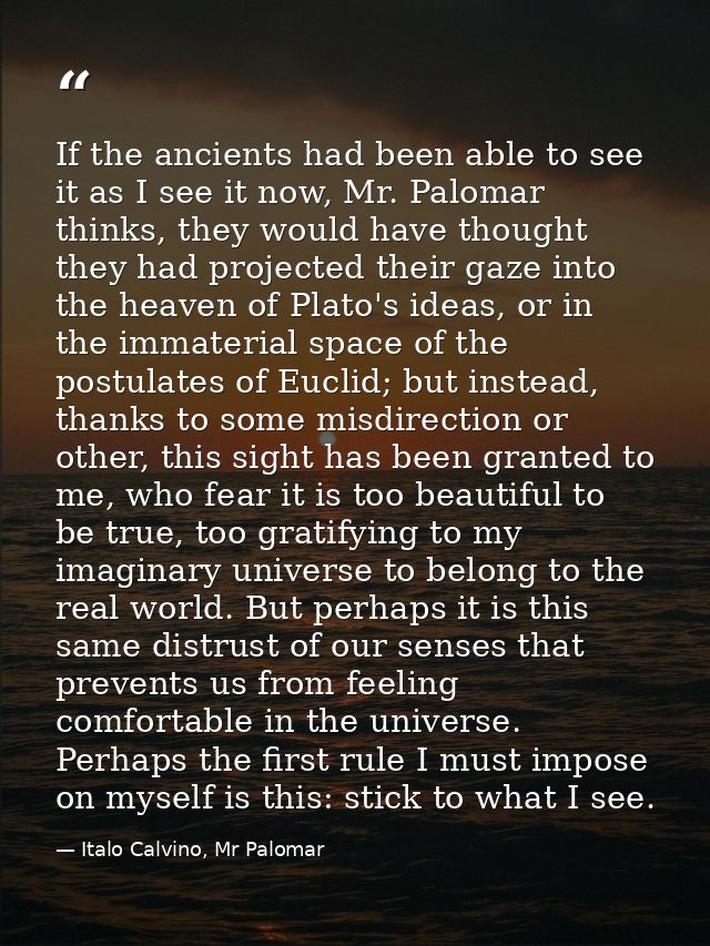 If the ancients had been able to see it as I see it now, Mr. Palomar thinks, they would have thought they had projected  — Italo Calvino, Mr Palomar