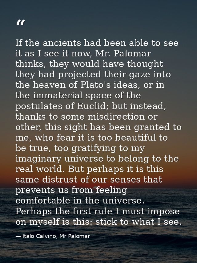 If the ancients had been able to see it as I see it now, Mr. Palomar thinks, they would have thought they had projected  — Italo Calvino, Mr Palomar