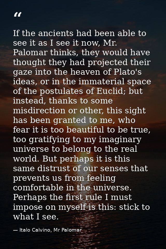 If the ancients had been able to see it as I see it now, Mr. Palomar thinks, they would have thought they had projected  — Italo Calvino, Mr Palomar