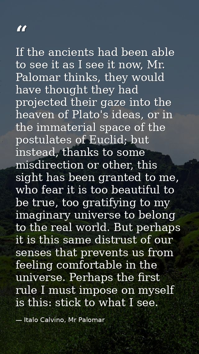 If the ancients had been able to see it as I see it now, Mr. Palomar thinks, they would have thought they had projected  — Italo Calvino, Mr Palomar