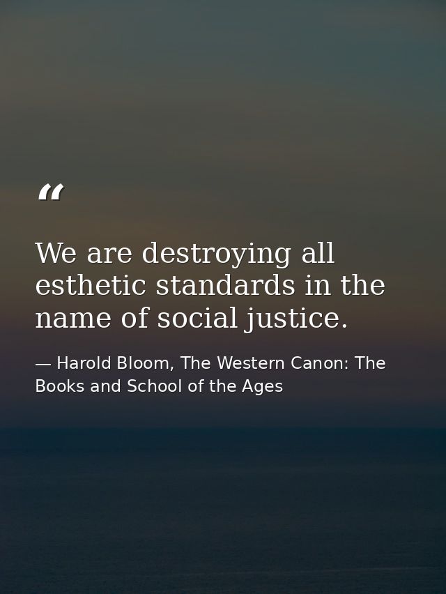We are destroying all esthetic standards in the name of social justice. — Harold Bloom, The Western Canon: The Books and School of the Ages