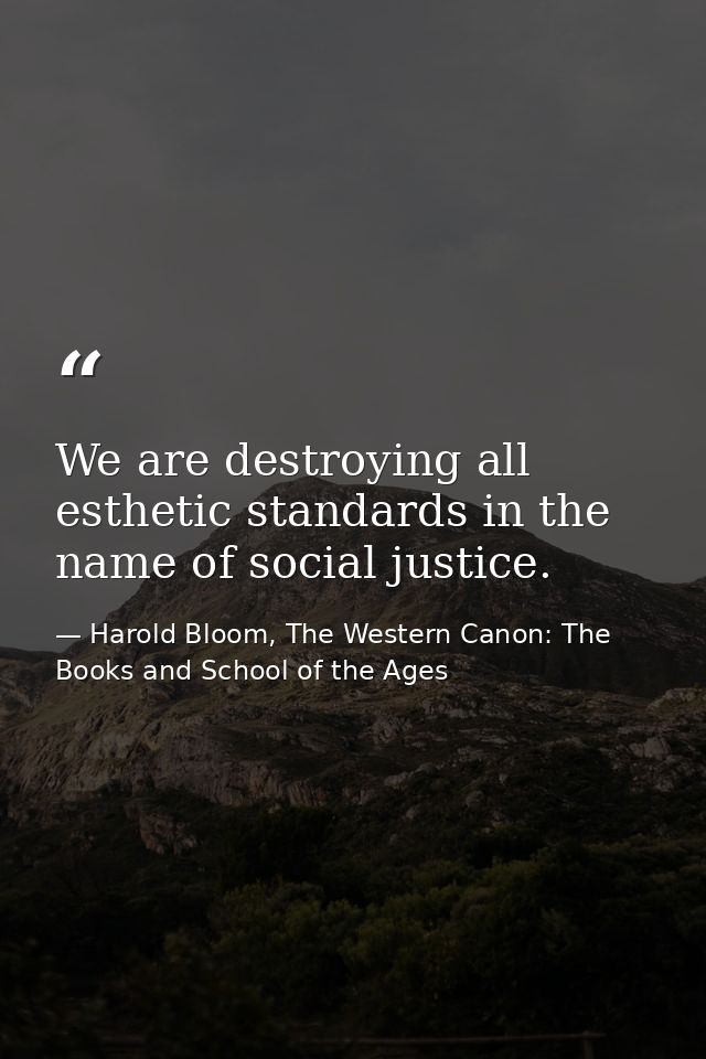 We are destroying all esthetic standards in the name of social justice. — Harold Bloom, The Western Canon: The Books and School of the Ages