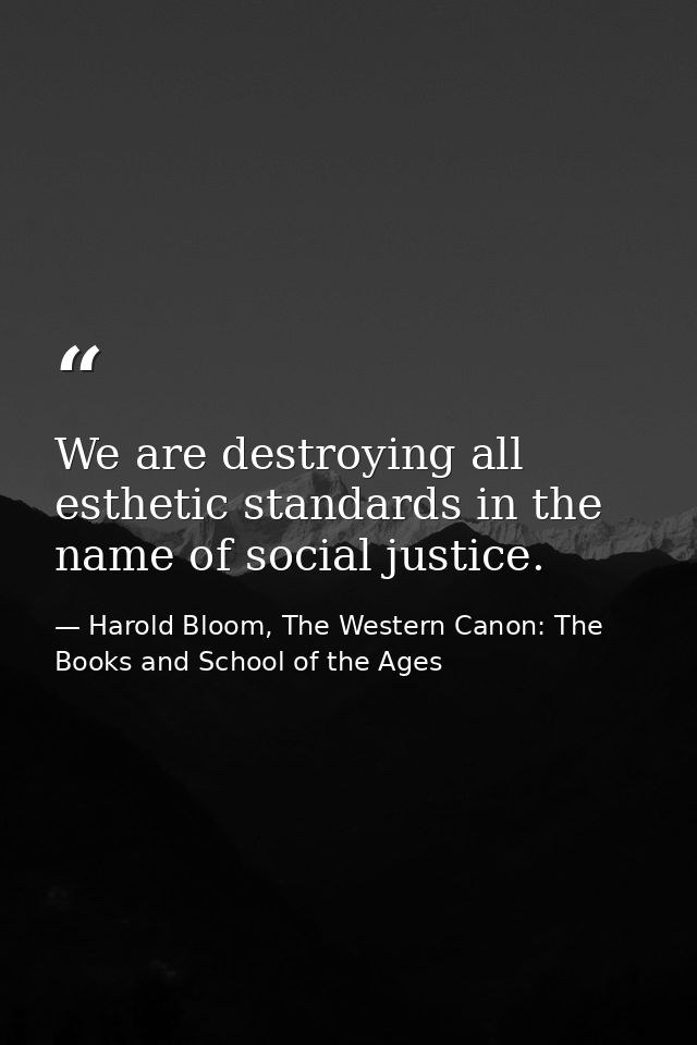We are destroying all esthetic standards in the name of social justice. — Harold Bloom, The Western Canon: The Books and School of the Ages