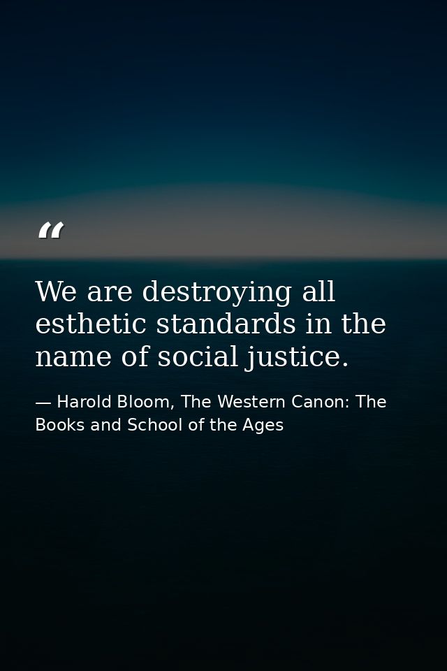 We are destroying all esthetic standards in the name of social justice. — Harold Bloom, The Western Canon: The Books and School of the Ages