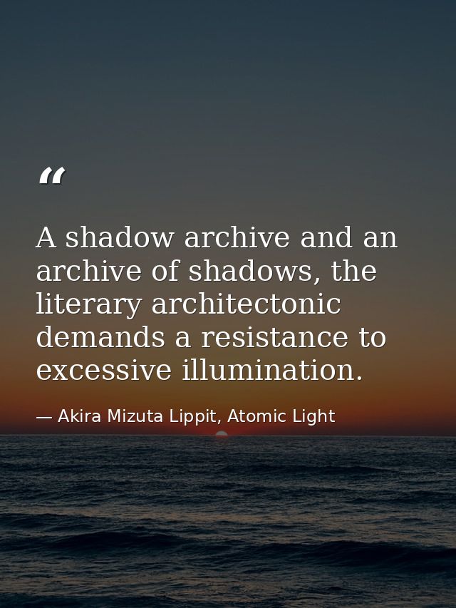 A shadow archive and an archive of shadows, the literary architectonic demands a resistance to excessive illumination. — Akira Mizuta Lippit, Atomic Light