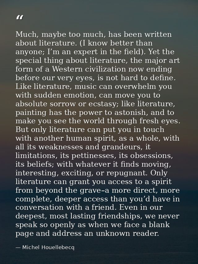 Much, maybe too much, has been written about literature. (I know better than anyone; I’m an expert in the field). Yet th — Michel Houellebecq