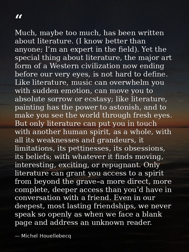 Much, maybe too much, has been written about literature. (I know better than anyone; I’m an expert in the field). Yet th — Michel Houellebecq