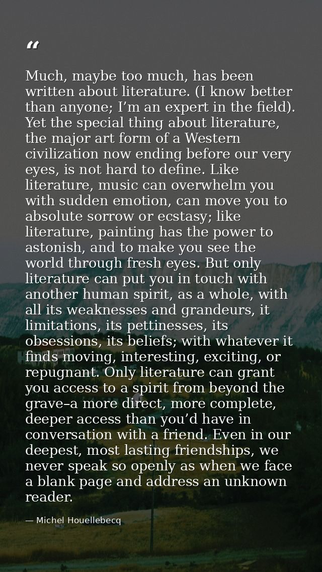 Much, maybe too much, has been written about literature. (I know better than anyone; I’m an expert in the field). Yet th — Michel Houellebecq