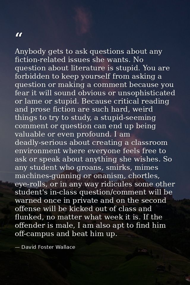 Anybody gets to ask questions about any fiction-related issues she wants. No question about literature is stupid. You ar — David Foster Wallace